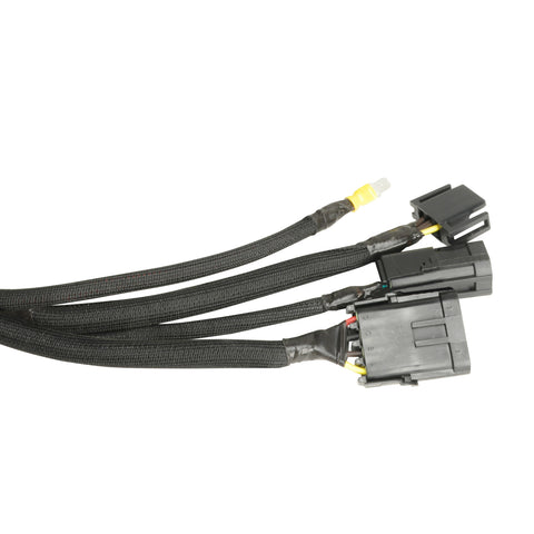 10657-P03.jpg