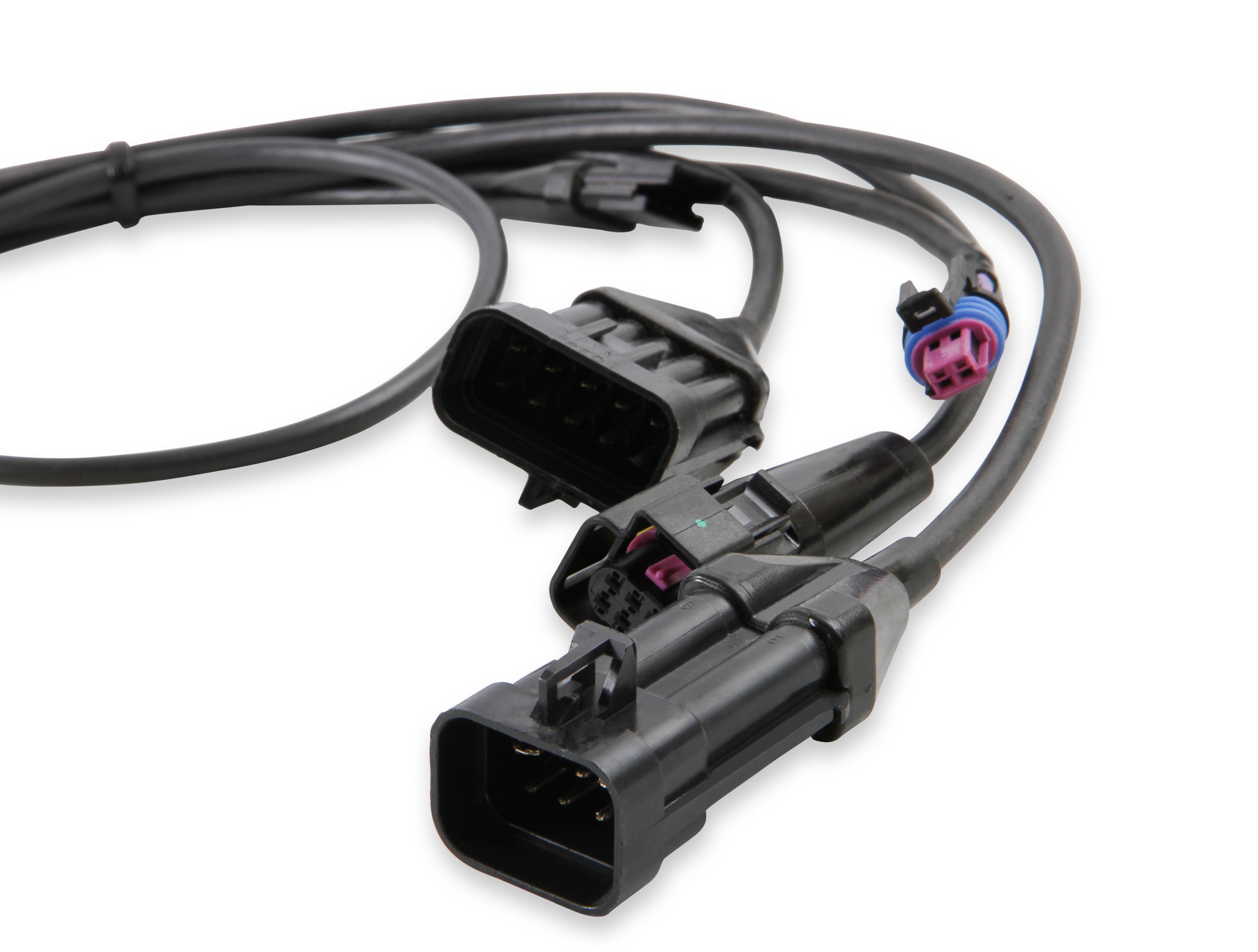 1bblharness_01.jpg