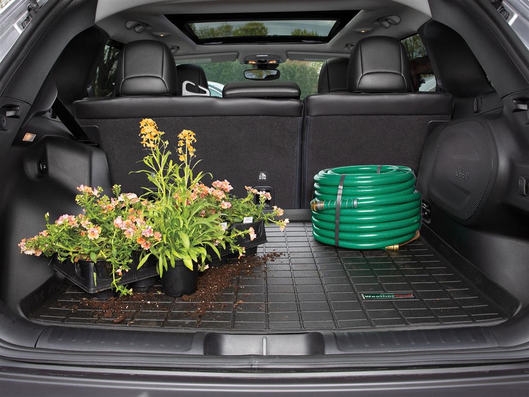 217444130.jpg