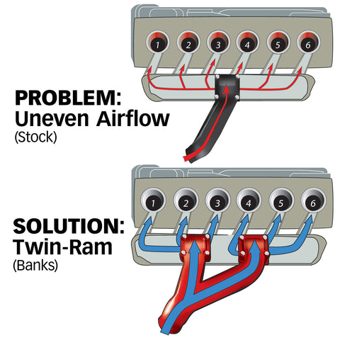 42710_twinram_illo_web.jpg