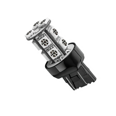 5003-003_B.jpg