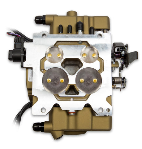 550-869_v818254.jpg