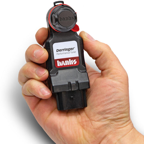 66653_Derringer_hand_cap.jpg