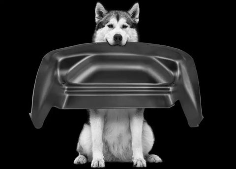 Husky Liners 79171 - Wheel Well Guards Rear for Ford,F-150 For only for Raptor