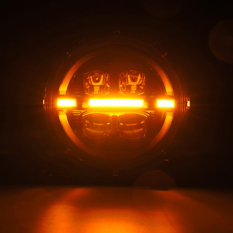 880868_7.jpg