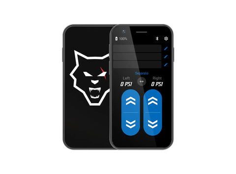 Pacbrake HP10660 WIRELESS AIR SPRING CONTROLS REMOTE