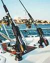 RAILBLAZA 03-4015-11 STARPORT BLACK)