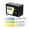 GP-AGM-100-12V: 100 AMP HOUR 12 VOL