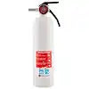 FIRE EXTINGUISHER- 5BC W/