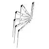 Minn Kota 1810631 RAPTOR ANCHOR 10' WH ACTIVE ANCHOR
