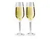 NESTING CHAMPAGNE FLUTE SET