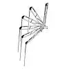 RAPTOR ANCHOR 8' SLVR ACTIVE ANCHOR
