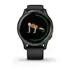 Garmin 010-N2173-11 VENU SPORTSWATCH  BLACK/SLATE REFUR REFURBISHED