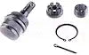 DORMAN BJ96125XL BALL JOINT