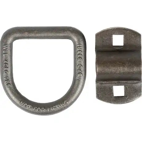 1/2'  D-RING WITH 2 HOLE BACKET