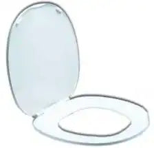 THETFORD SEAT & COVER- WH