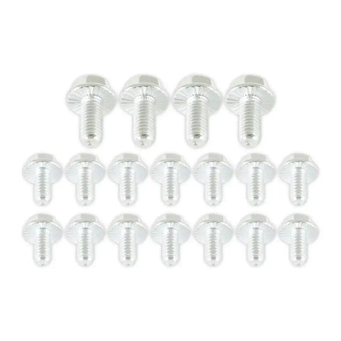 PAN BOLTS-SB CHEV  14PC