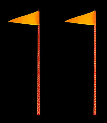 QUAKE LED QW826 4 FOOT RGB ACCENT LED WHIP LIG