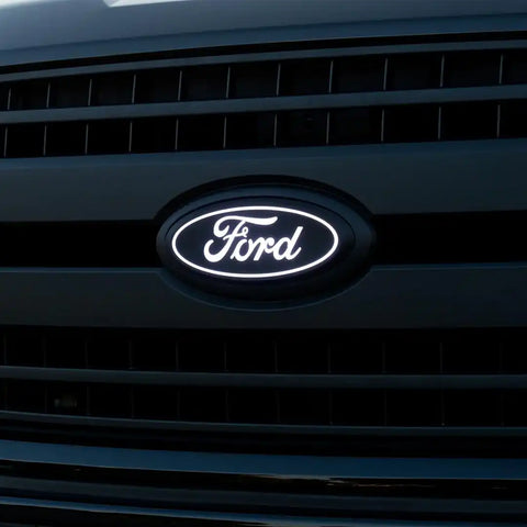 PUTCO 92609 FORD F-150 FRONT EMBLEM - WITH CAME