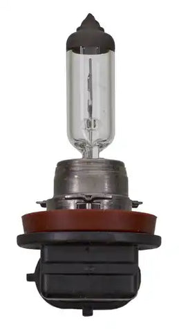 HALONGEN CAPSULE
