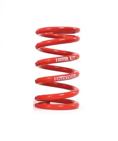 H&R R25120325 RACE SPRING