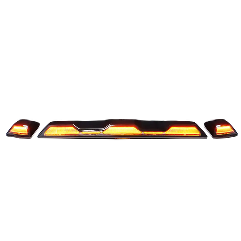 CAB LIGHTS