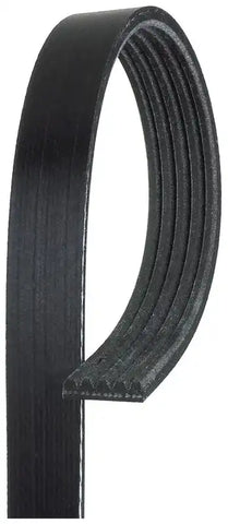 V-RIBBED BELT
