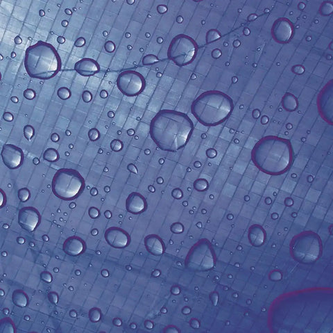 TARP
