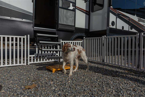 SAFETY STEP P1000 PICKET PLAY PET FENCE SET