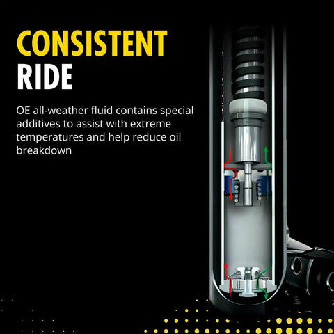 OESPECTRUM SUSPENSION STRUT