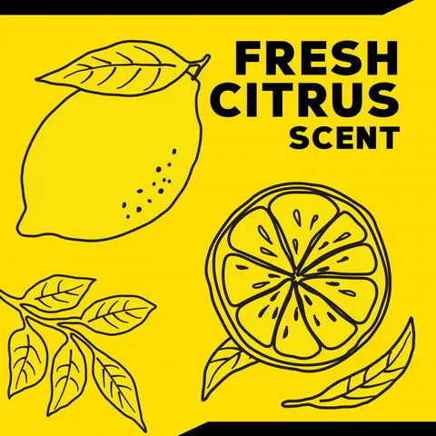 MEGUIARS WAX G240616 ALL SURFACE INTERIOR CLEANER-16OZ