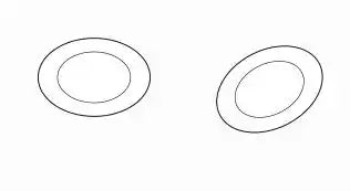 (S)SEAL