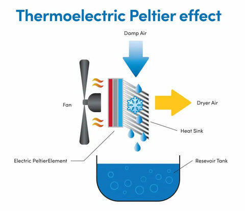 MOMENTUM EDV-1100 EVA-DRY PETITE DEHUMIDIFI