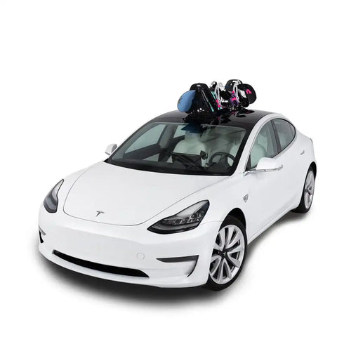 SEASUCKER SK2425 PALLAVICINI SKI RACK