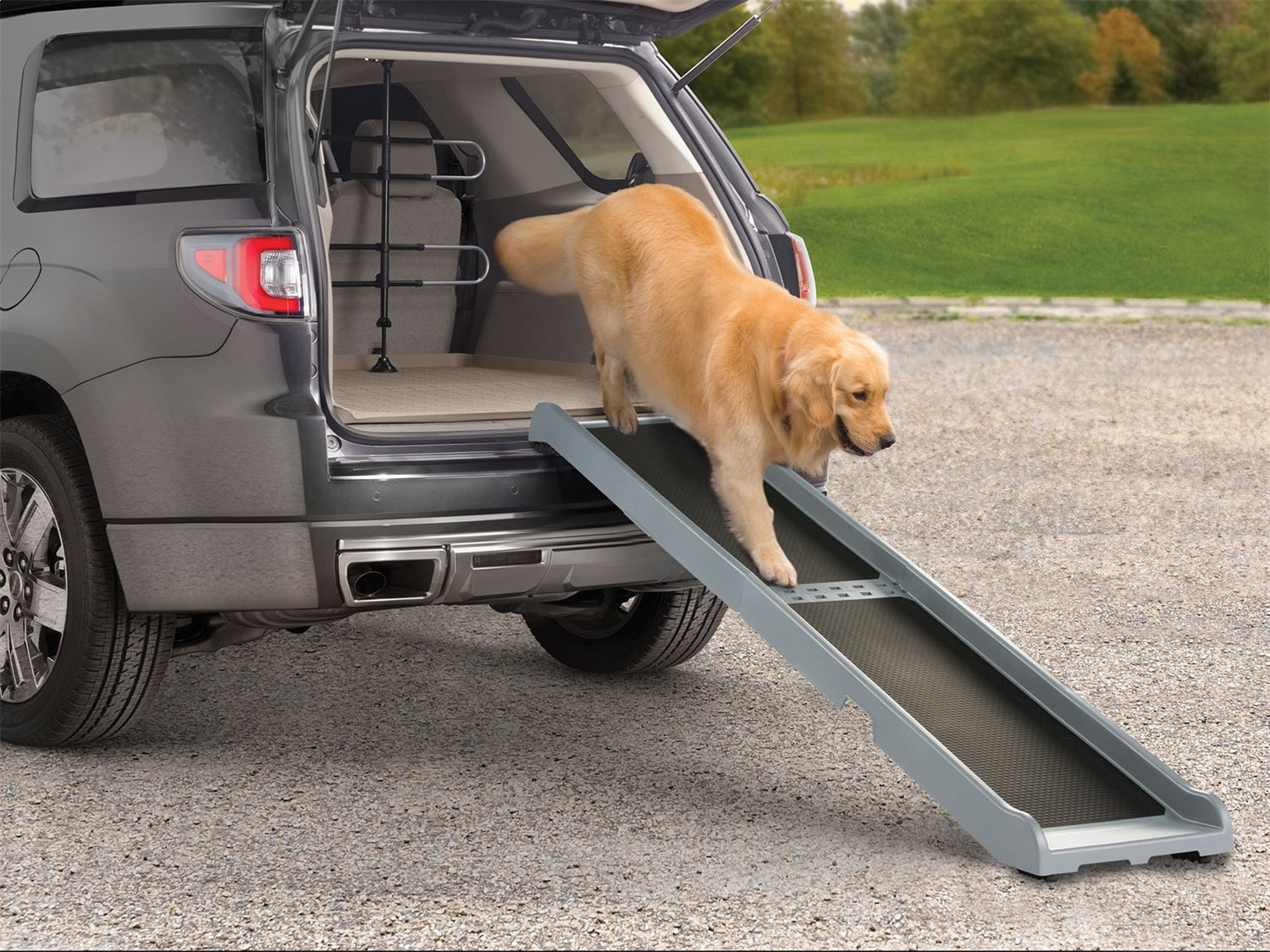 PetStep_New.jpg