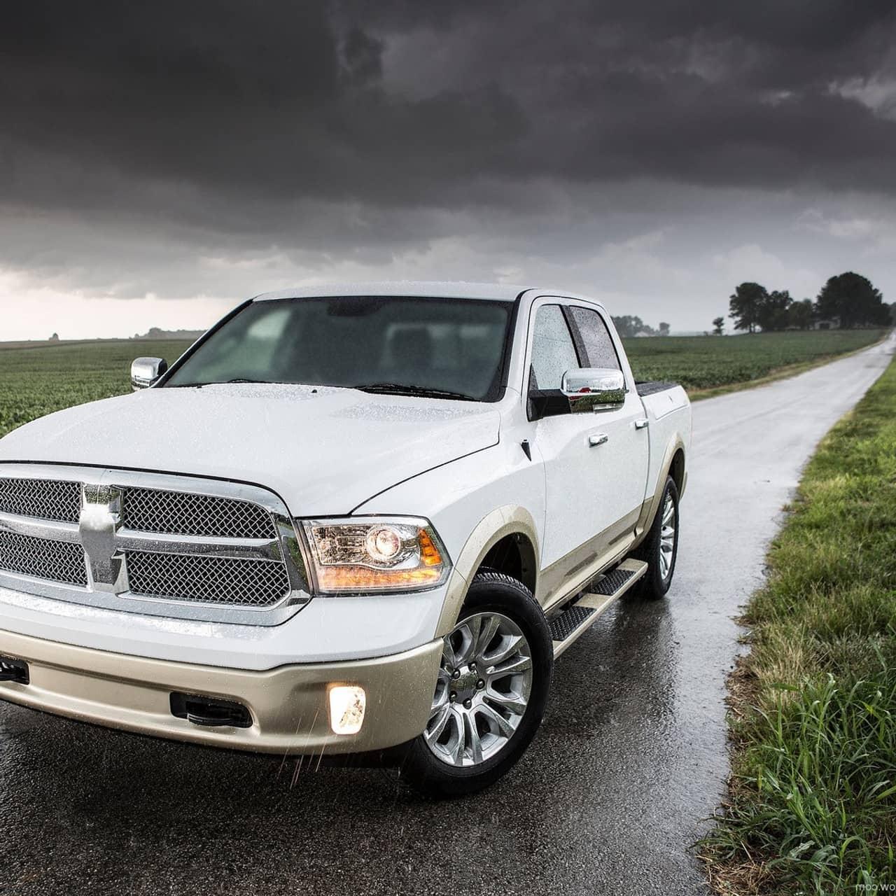 SPD-RMV-RAM13CHP-AT-FS-L_05.jpg