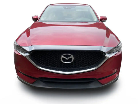 Auto Ventshade (AVS) 622179 - Aeroskin Hood Protector Chrome