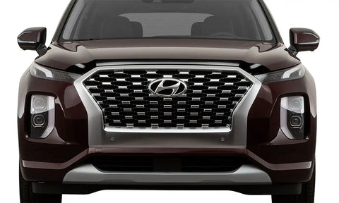 Auto Ventshade (AVS) 322159 - Aeroskin Hood Protector Smoke