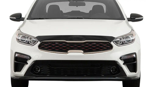 Auto Ventshade (AVS) 320084 Aeroskin Hood Protector - Smoke