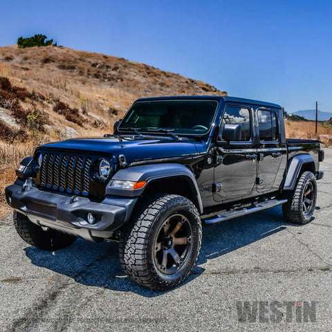 Westin 21-23295 - PRO TRAXX 4 Oval Nerf Step Bars Doors