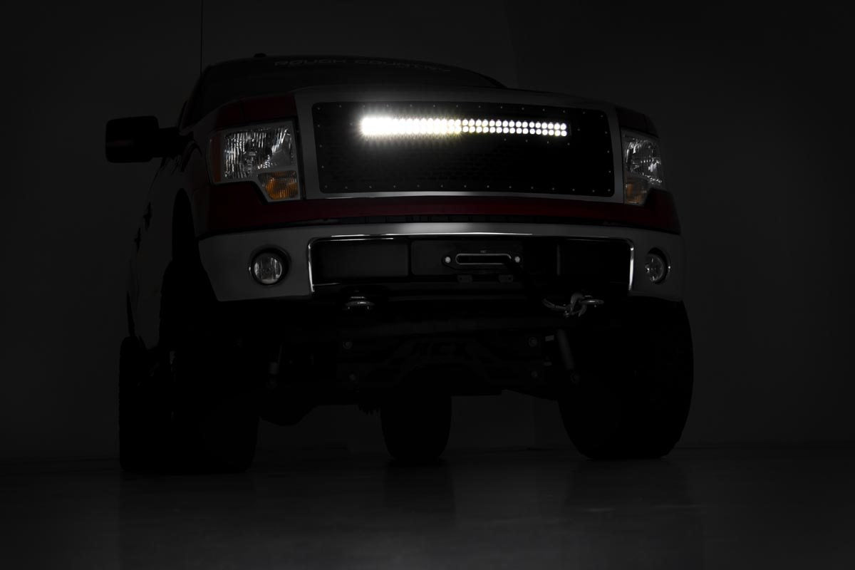 Mesh Grille | 30" Dual Row LED | Black | Ford F-150 2WD/4WD (09-14)
