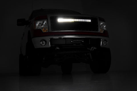 Mesh Grille | 30" Dual Row LED | Black | Amber DRL | Ford F-150 (09-14)