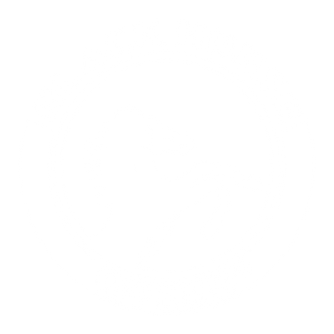 neew black horse logo white.png