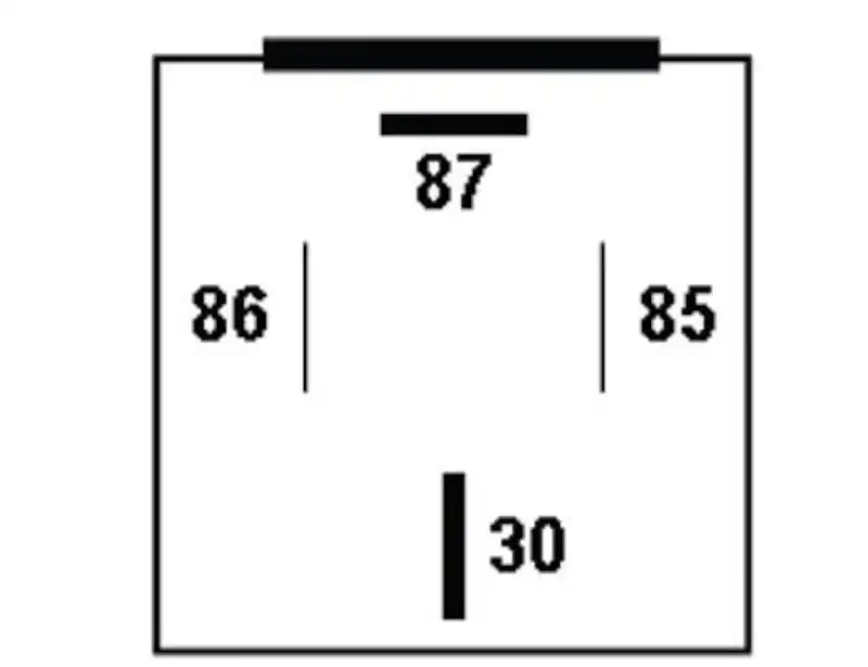 007793041.PT60.jpg