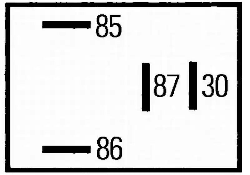007813011.PT02.jpg