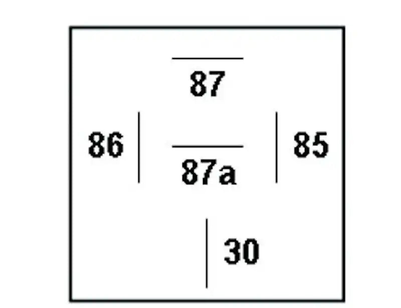 007903001.PT60.jpg