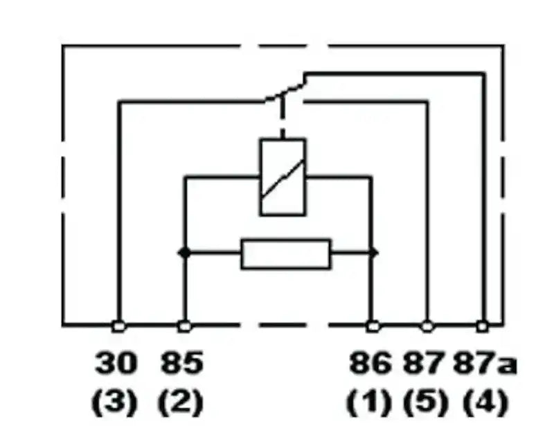007903007.PT50.jpg