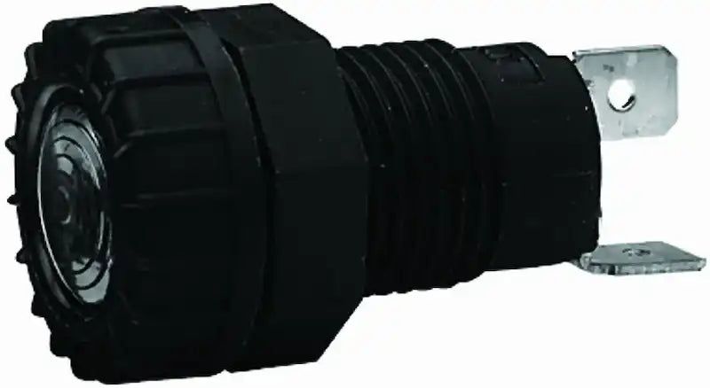 008594031.MAIN.jpg