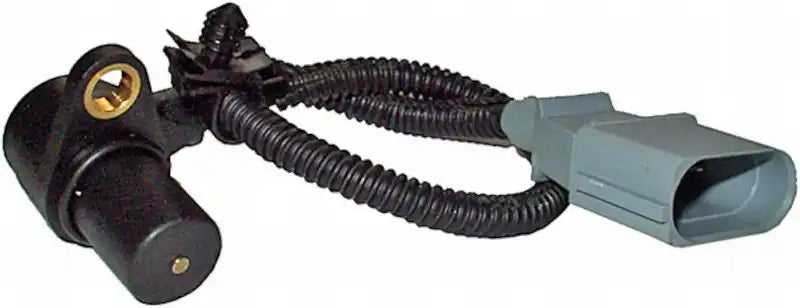 009146381.main.jpg