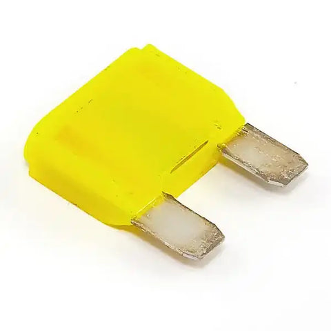 17254.01.jpg